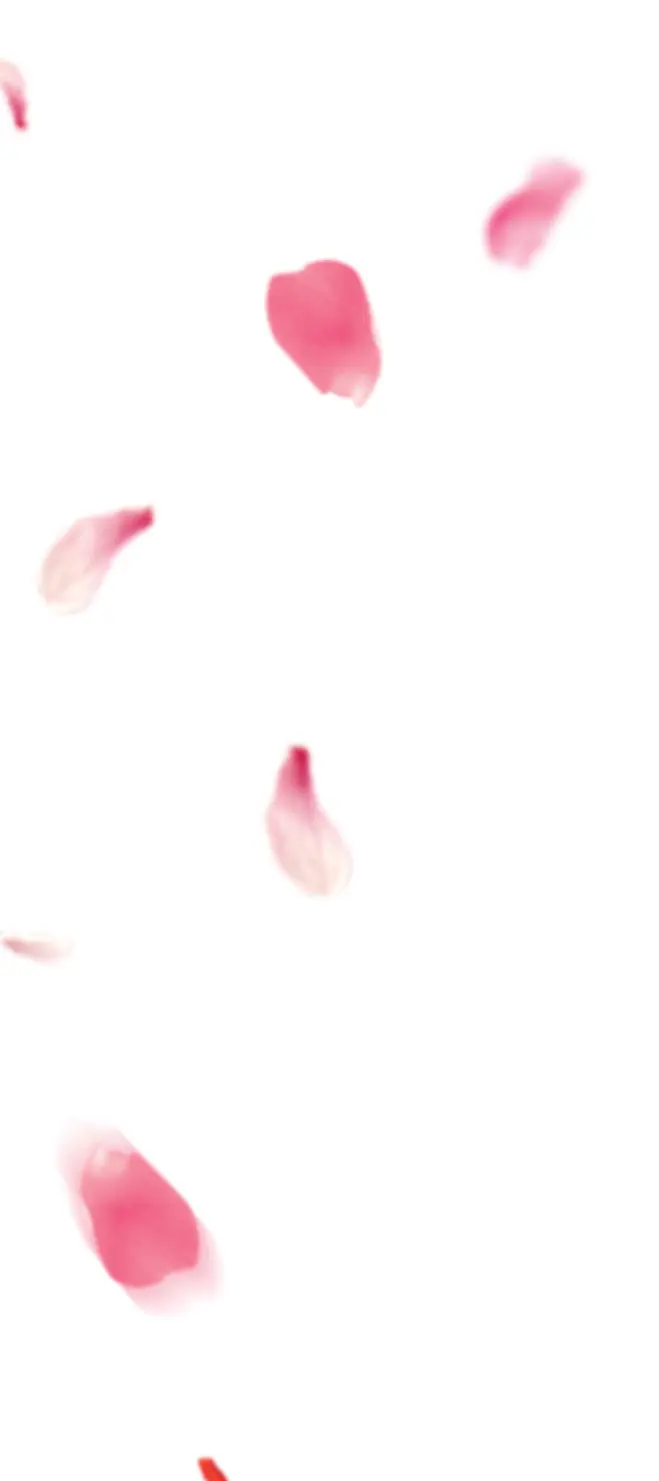 bottom flower  bottom flower